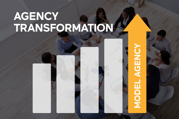 Agency Transformation Phases
