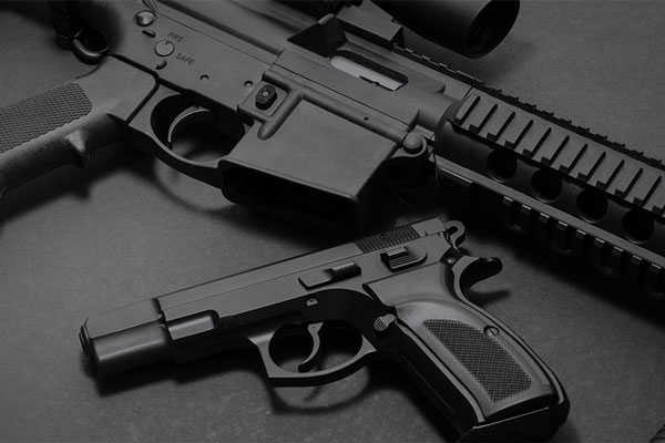 Key Components of a Firearms Licensing System