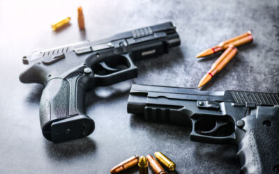 Modernizing Firearm Licensing & Tracking with Regulatory Software